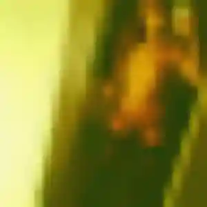 Zoe, 43 ans, en ligne à Trévoux pour un rencontre coquine