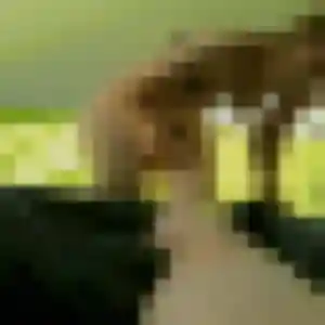 Profil de Inaya à Vallet (28 ans) - rencontre coquine discret