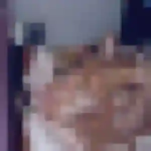 Gilberte, femme de 28 ans propose rencontre coquine à Verneuil-sur-Seine