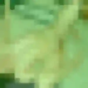 Profil de Vicky à Vernon (33 ans) - rencontre coquine sans inscription
