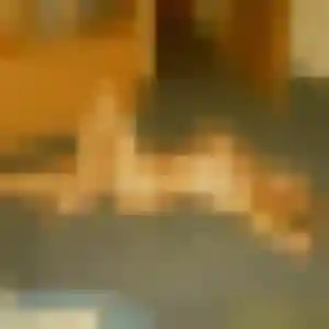 Yvette, 30 ans, cherche un rencontre coquine à Vernon