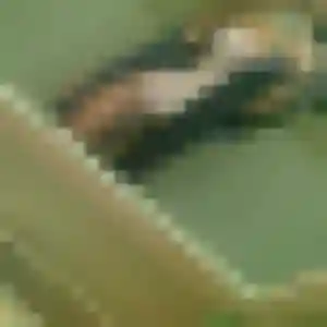 Photo de Ava à Vernouillet (25 ans) - rencontre coquine anonyme