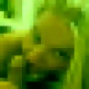 Malika, 21 ans, cherche un rencontre coquine à Vigneux-de-Bretagne