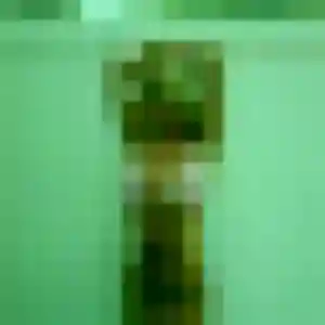 Lisa, femme de 41 ans propose rencontre coquine à Wambrechies