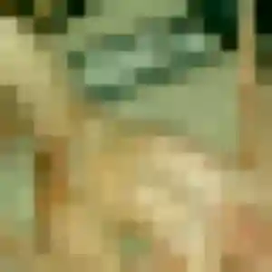 Mylene, 41 ans, dispo pour rencontre coquine à Wasquehal