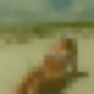 rencontre coquine à Wasquehal : photo de Urielle, 21 ans - sans engagement