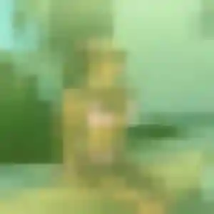 Photo exclusive de Elsa, 44 ans à Wissous - rencontre coquine