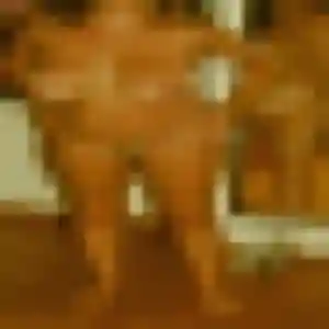 Inaya, 33 ans, veut un rencontre coquine à Wittenheim
